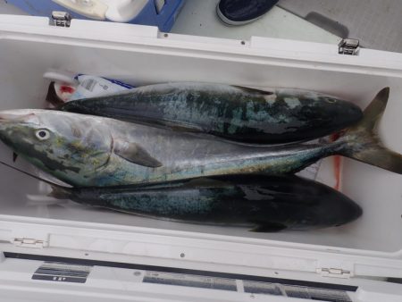 Aquanaut（アクアノート） 釣果