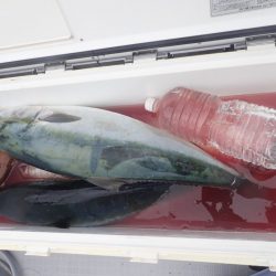 Aquanaut（アクアノート） 釣果