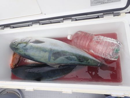 Aquanaut（アクアノート） 釣果