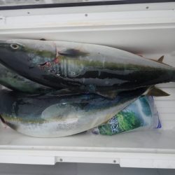 Aquanaut（アクアノート） 釣果