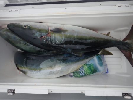 Aquanaut（アクアノート） 釣果