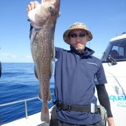 Aquanaut（アクアノート） 釣果