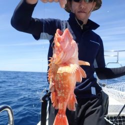 Aquanaut（アクアノート） 釣果