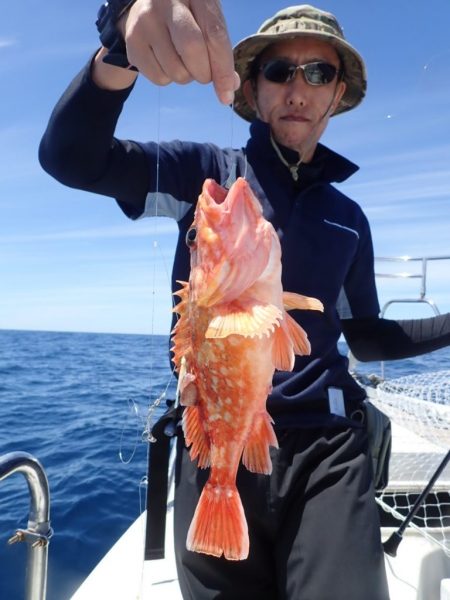 Aquanaut（アクアノート） 釣果