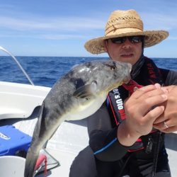 Aquanaut（アクアノート） 釣果