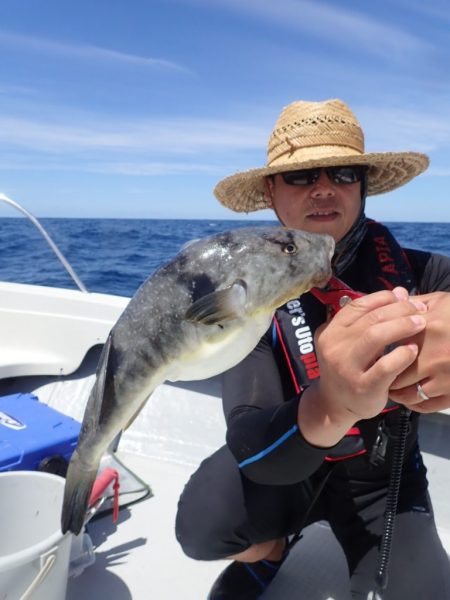 Aquanaut（アクアノート） 釣果