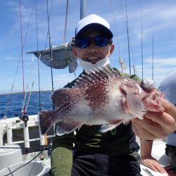 Aquanaut（アクアノート） 釣果