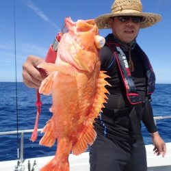 Aquanaut（アクアノート） 釣果