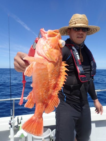 Aquanaut（アクアノート） 釣果