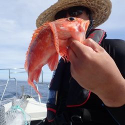 Aquanaut（アクアノート） 釣果