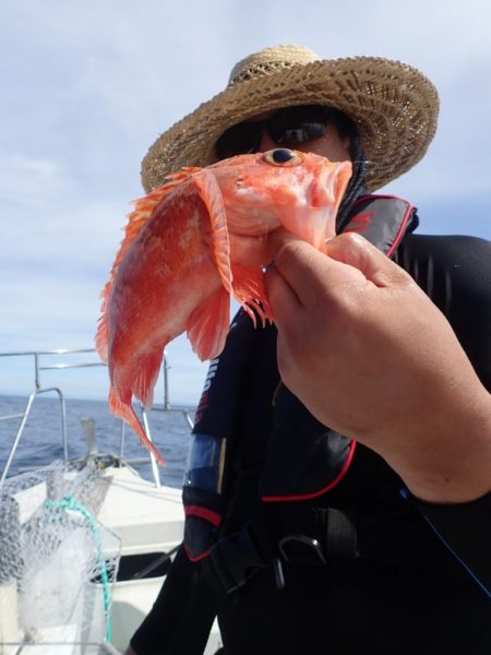 Aquanaut（アクアノート） 釣果