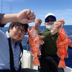 Aquanaut（アクアノート） 釣果