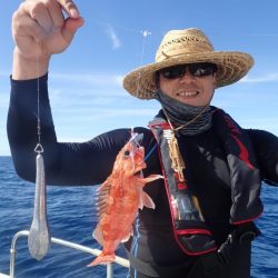 Aquanaut（アクアノート） 釣果