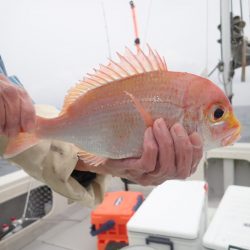 Aquanaut(アクアノート) 釣果