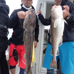 Aquanaut(アクアノート) 釣果