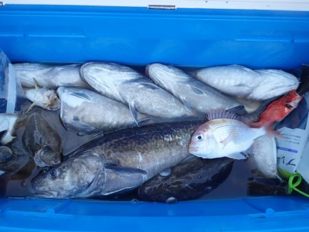 Aquanaut(アクアノート) 釣果