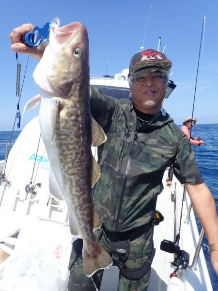 Aquanaut(アクアノート) 釣果