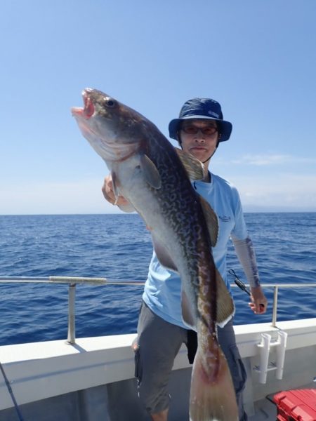 Aquanaut(アクアノート) 釣果