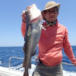 Aquanaut(アクアノート) 釣果