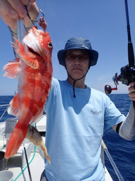 Aquanaut(アクアノート) 釣果