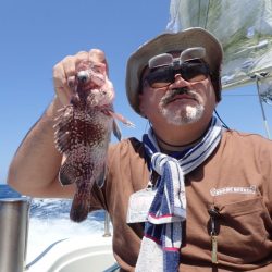 Aquanaut(アクアノート) 釣果