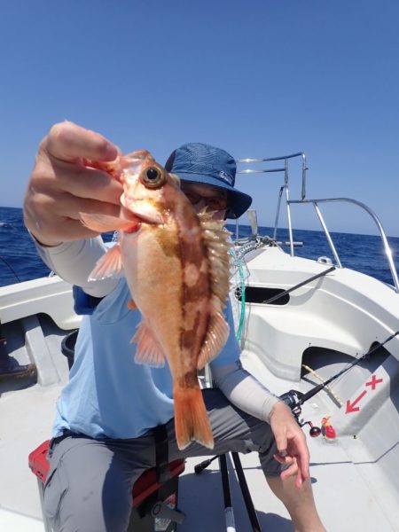 Aquanaut(アクアノート) 釣果