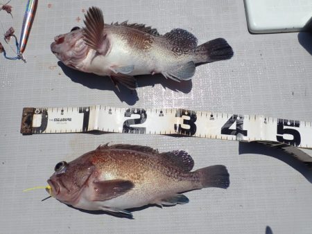 Aquanaut(アクアノート) 釣果