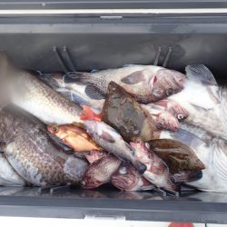 Aquanaut(アクアノート) 釣果