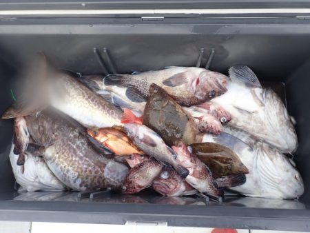 Aquanaut(アクアノート) 釣果