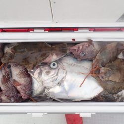 Aquanaut(アクアノート) 釣果