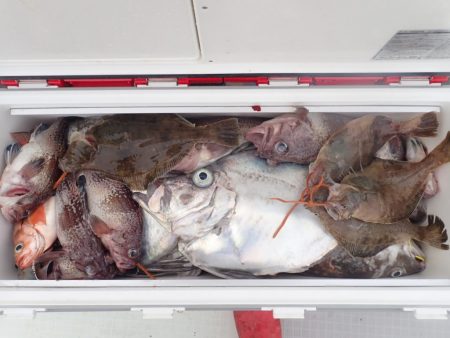 Aquanaut(アクアノート) 釣果