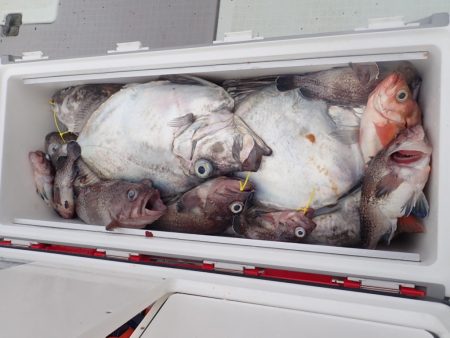 Aquanaut(アクアノート) 釣果