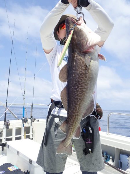 Aquanaut（アクアノート） 釣果