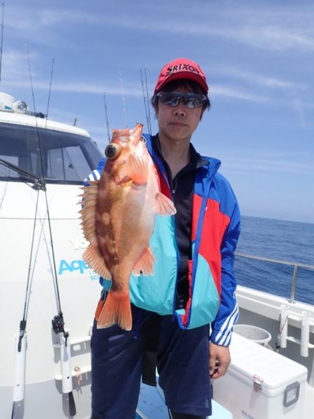 Aquanaut（アクアノート） 釣果