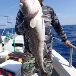 Aquanaut(アクアノート) 釣果