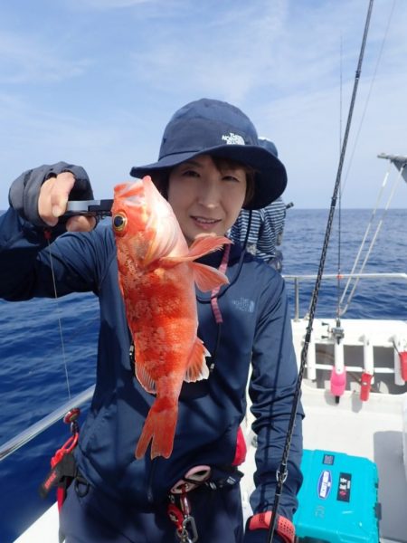 Aquanaut（アクアノート） 釣果