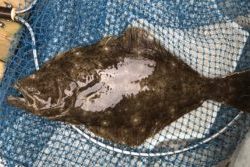 さぶろう丸 釣果