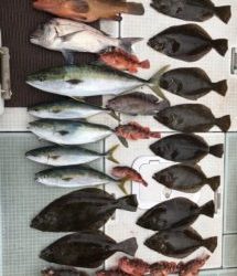 さぶろう丸 釣果