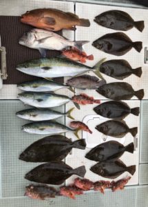 さぶろう丸 釣果