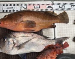 さぶろう丸 釣果