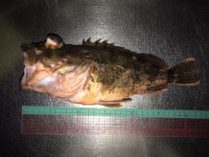 さぶろう丸 釣果