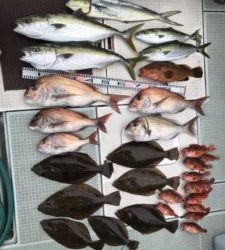 さぶろう丸 釣果