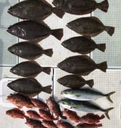 さぶろう丸 釣果