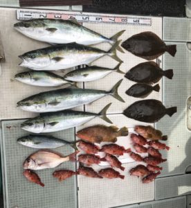 さぶろう丸 釣果