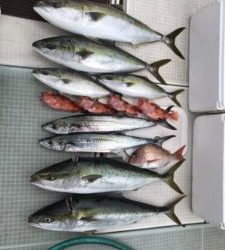 さぶろう丸 釣果