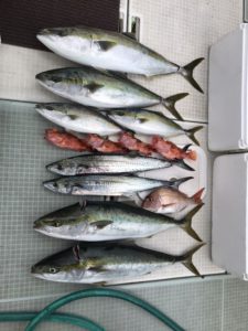 さぶろう丸 釣果