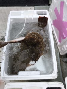 さぶろう丸 釣果