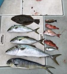 さぶろう丸 釣果