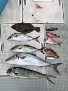さぶろう丸 釣果