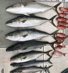 さぶろう丸 釣果